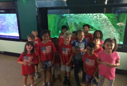 children watching fish in a big aquarium
