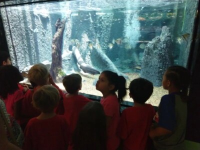 children watching fish in a big aquarium