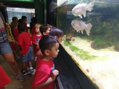 children watching fish in a big aquarium