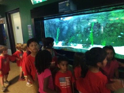 children watching fish in a big aquarium
